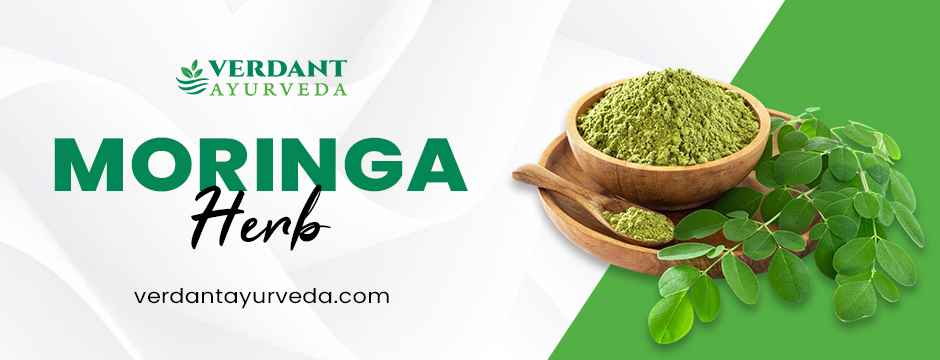 Moringa Herbs
