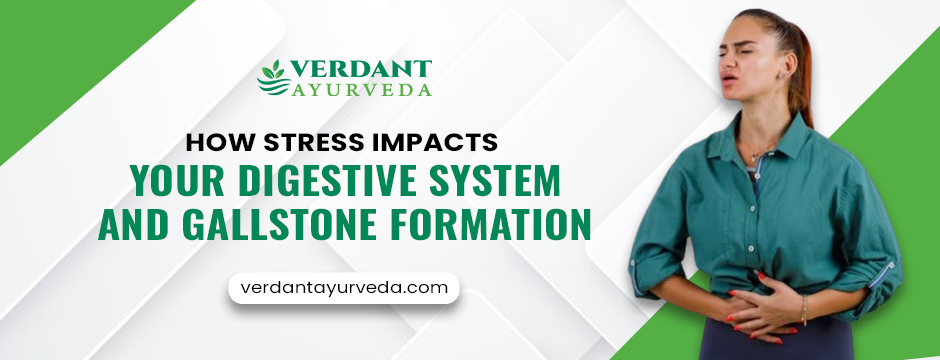 Digestive System and Gallstone Formation