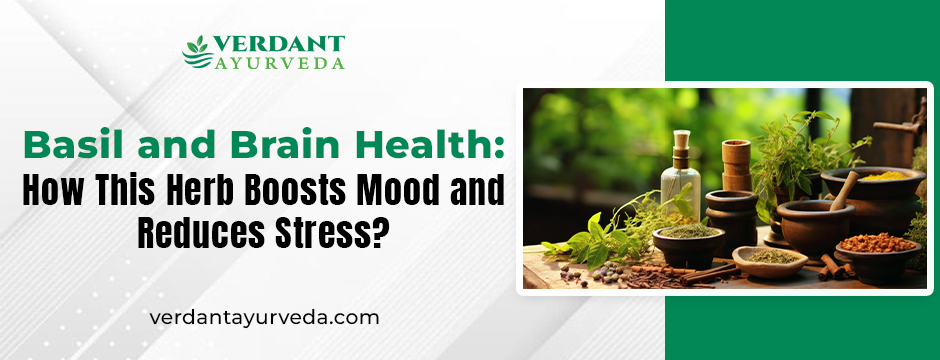 Basil and Brain Health How This Herb Boosts Mood and Reduces Stress
