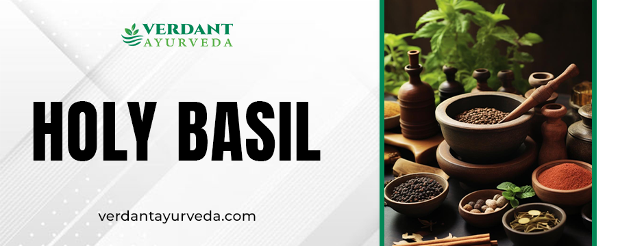 Holy Basil