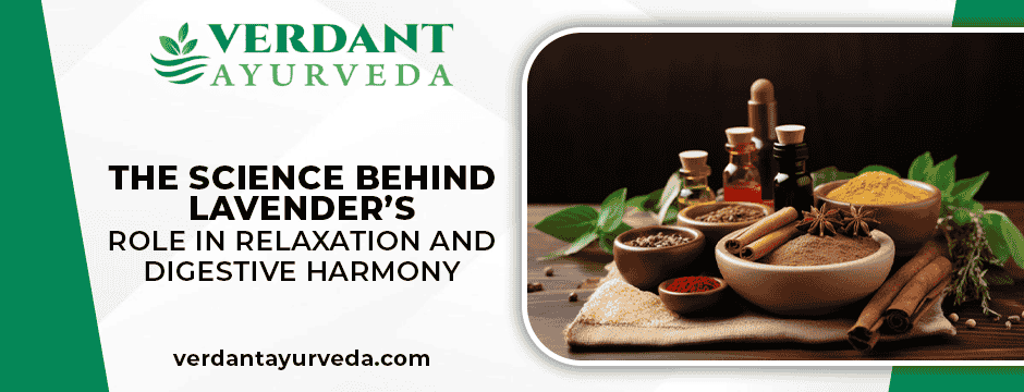 The Science Behind Lavender’s Role in Relaxation and Digestive Harmony
